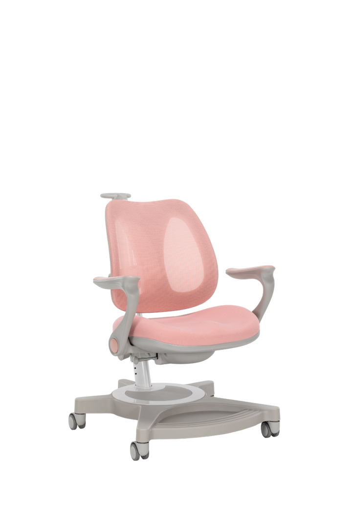 SY3301-2-SHANYE chair